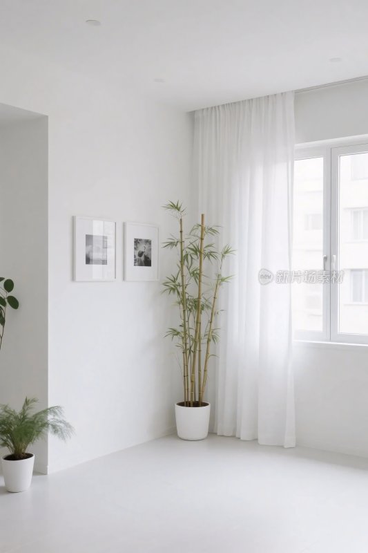 简约室内绿植空间