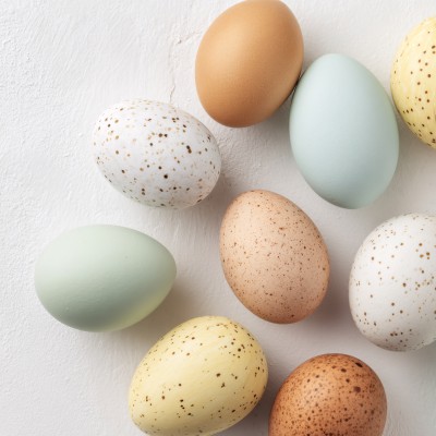 多彩斑点鸡蛋静物图 多彩斑点鸡蛋静物图