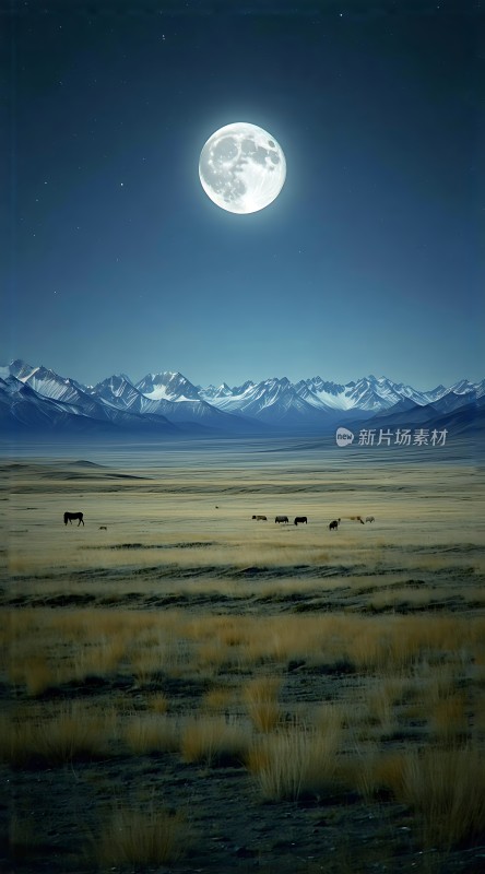 草原上的月光下的群山