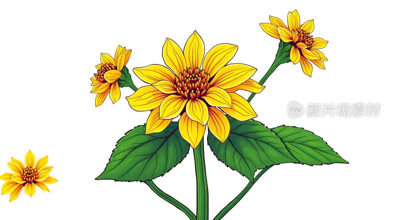 阳光下的向日葵绽放