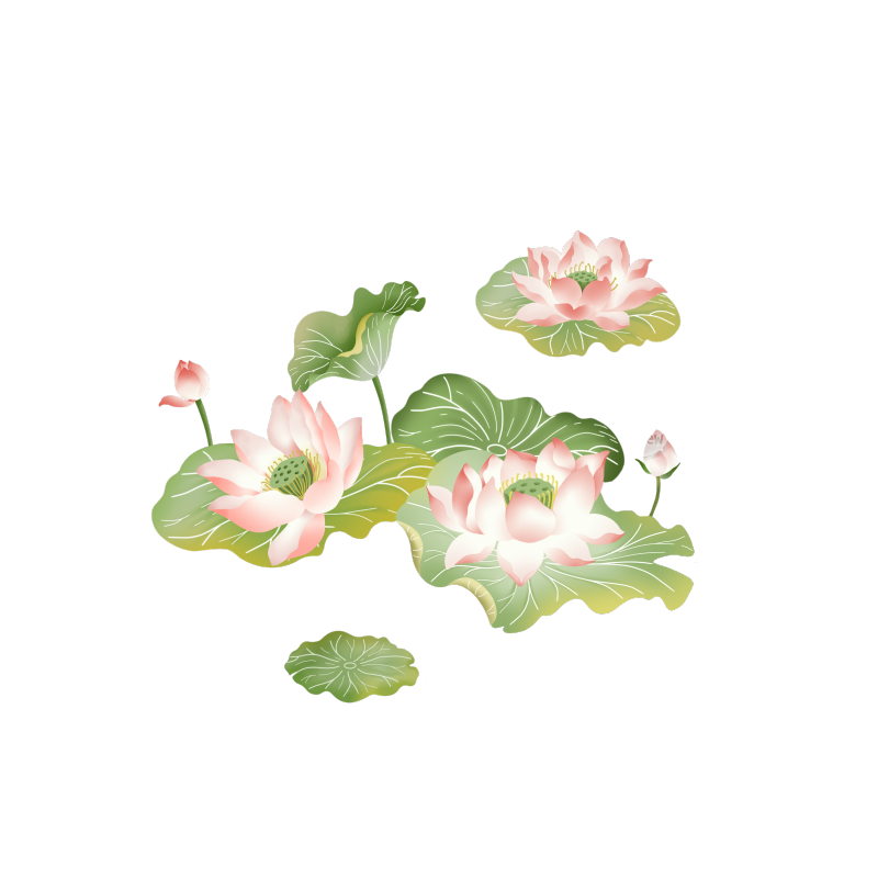 二十四节气插画立夏植物夏季池塘荷花