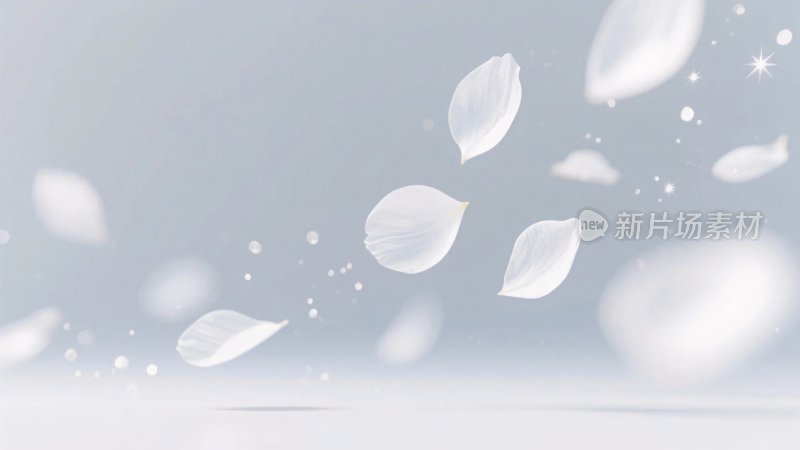 飘落花瓣的柔美背景