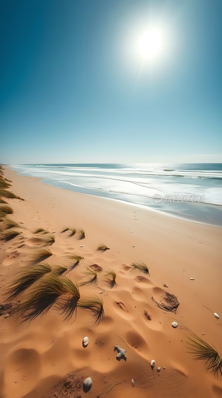 阳光下的金色沙滩与碧蓝大海