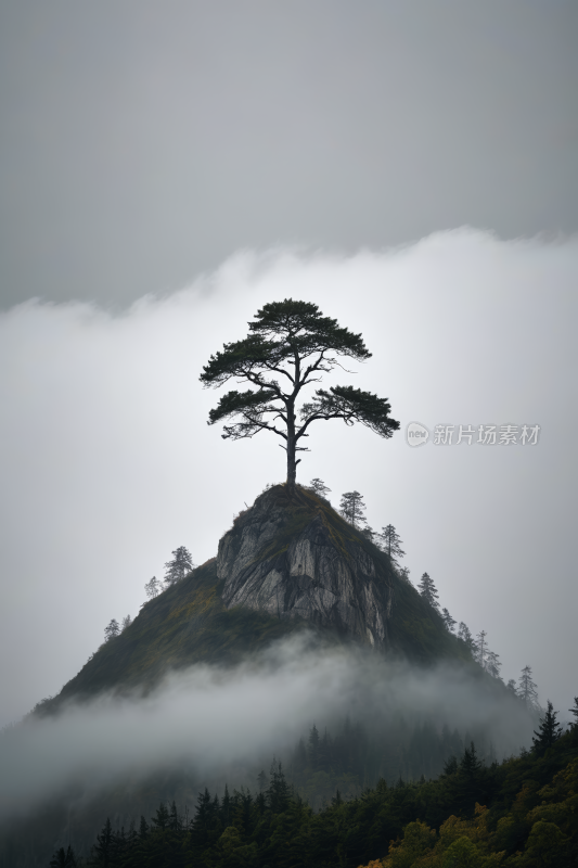 山上一棵孤树天空雾蒙蒙高清风景图片