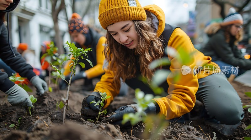种树活动共同守护绿色未来