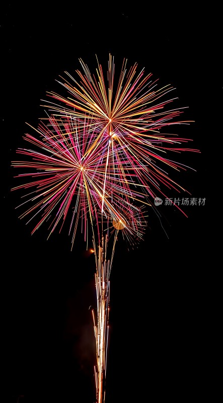 夜空烟花绽放色彩斑斓璀璨夺目
