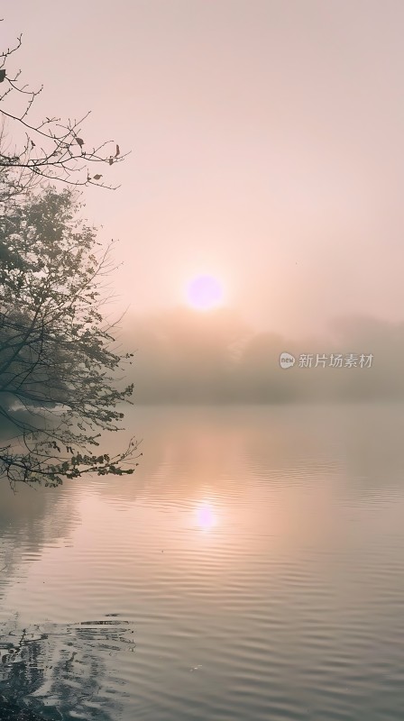 湖畔晨曦映水波
