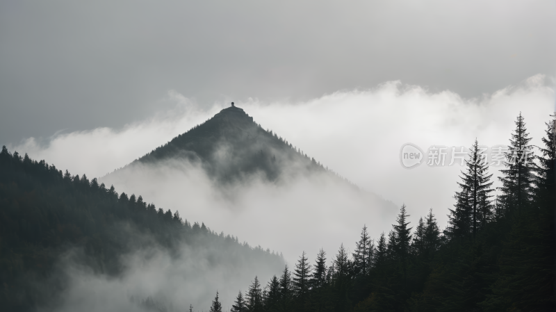 山上有几棵树和几朵云风景图片