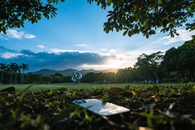 户外草地风景摄影 户外草地风景摄影