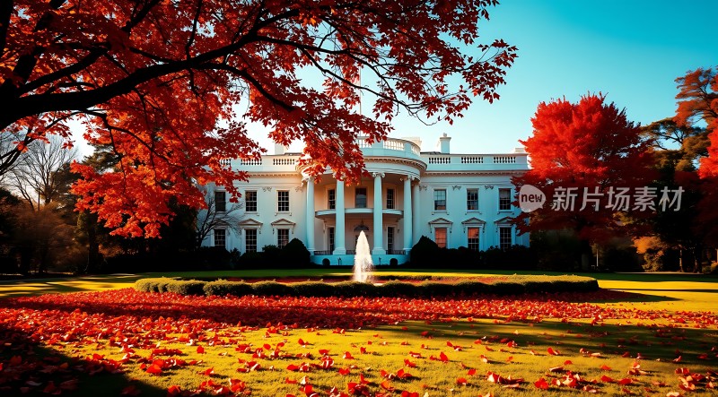 秋日白宫红叶映白墙