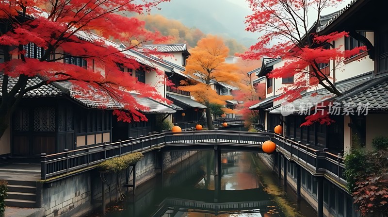 秋日古街水乡情