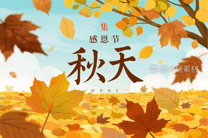 感恩节秋天落叶插画