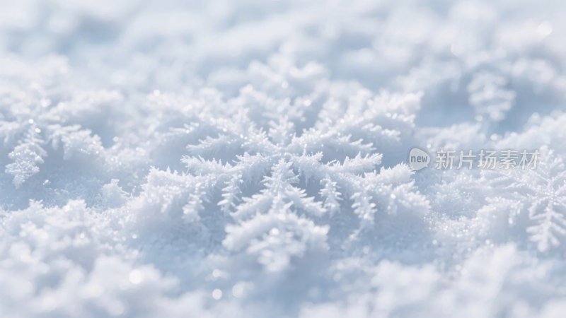 雪花特写特写