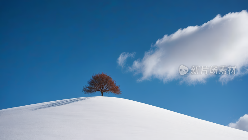 雪山上的一棵孤树风景风光高清图片