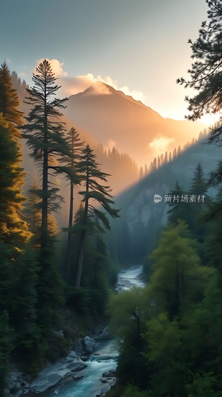 晨光中的山间溪流