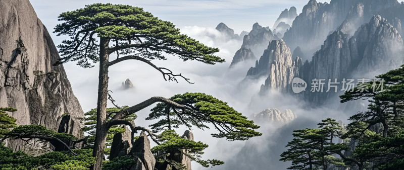 黄山风景区迎客松云海日出自然风光旅游景区