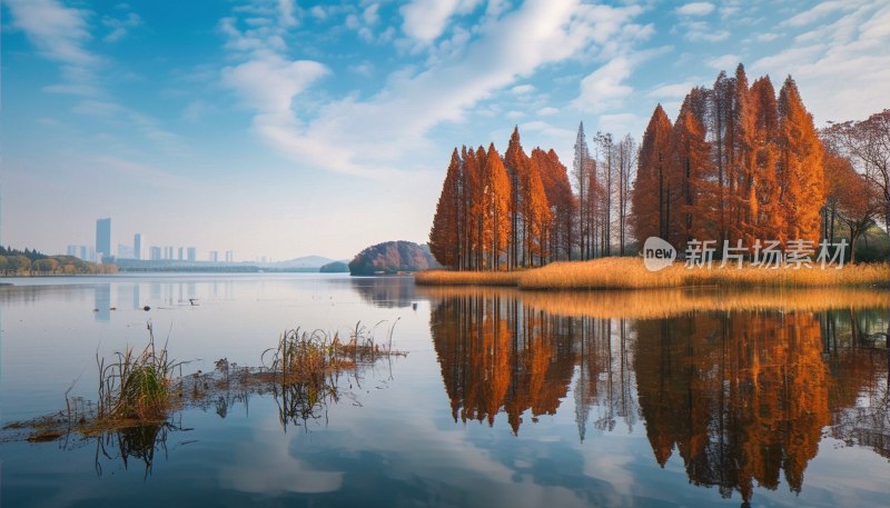 东湖秋色公园景