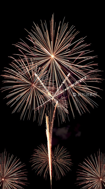 璀璨烟花绽放夜空色彩斑斓光芒四射