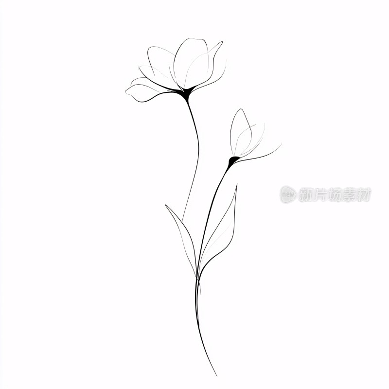 简约线条勾勒的两朵花卉
