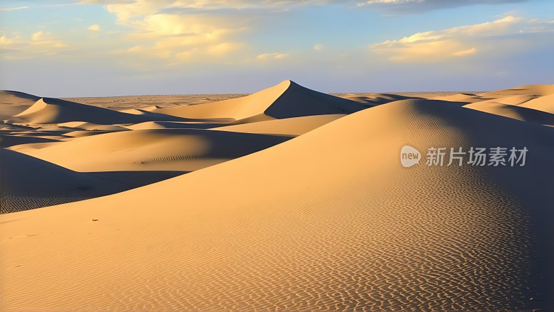 金色沙丘下的宁静黄昏