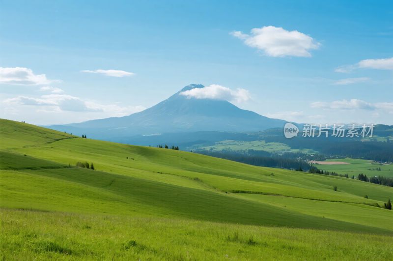 绿色原野与远山美景