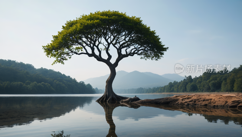 自然风景风光高清图片