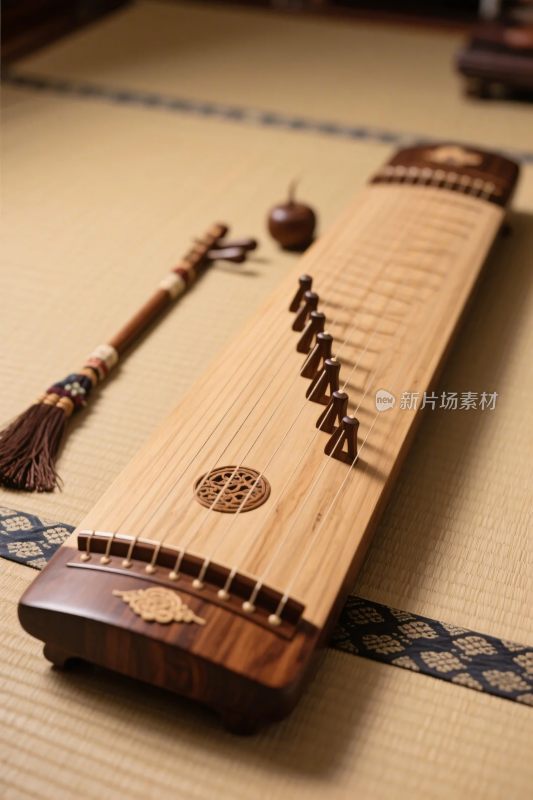 传统弦乐器展示