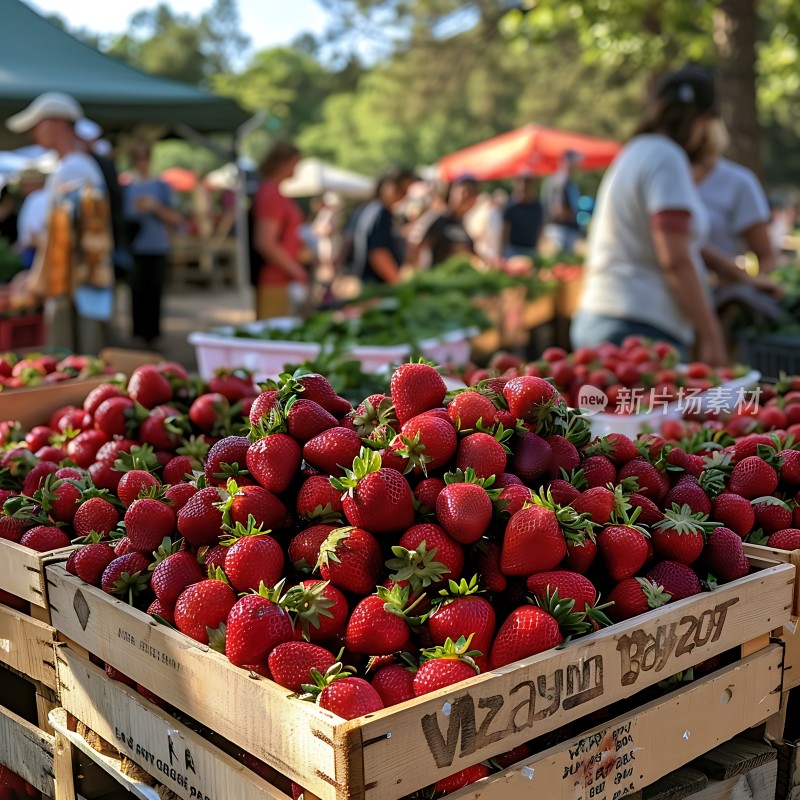 草莓集市新鲜采摘的美味诱惑