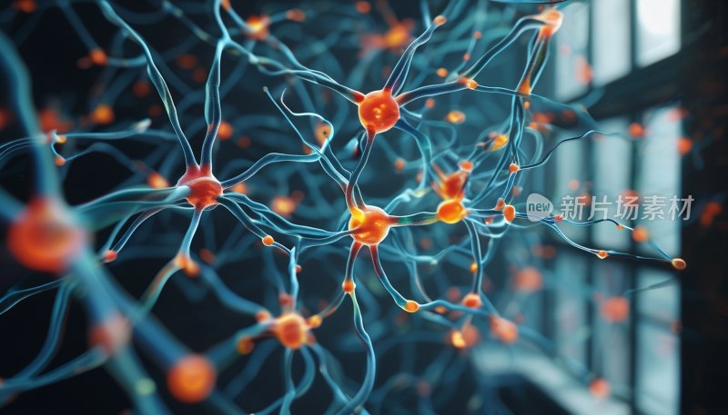 光影神经网络画