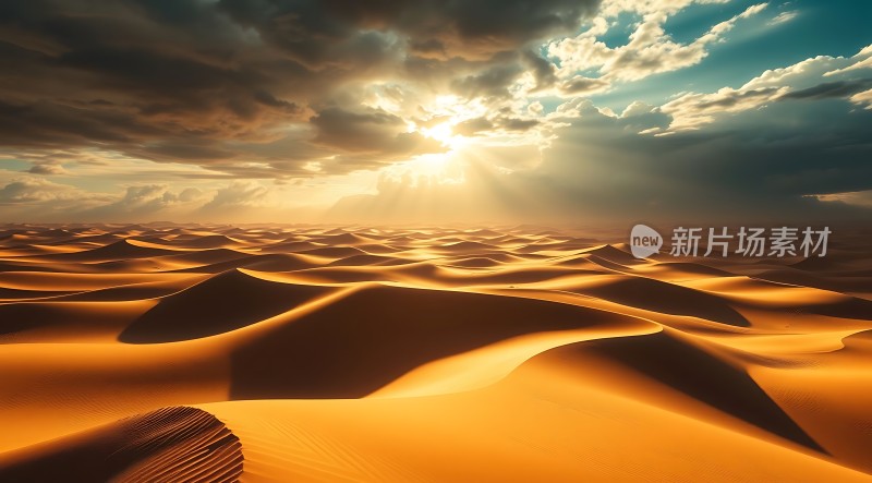 金色沙丘下的辉煌日落
