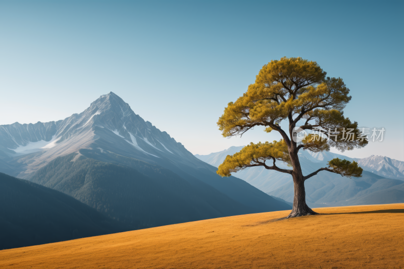 草山上一棵孤树高山风光风景图片