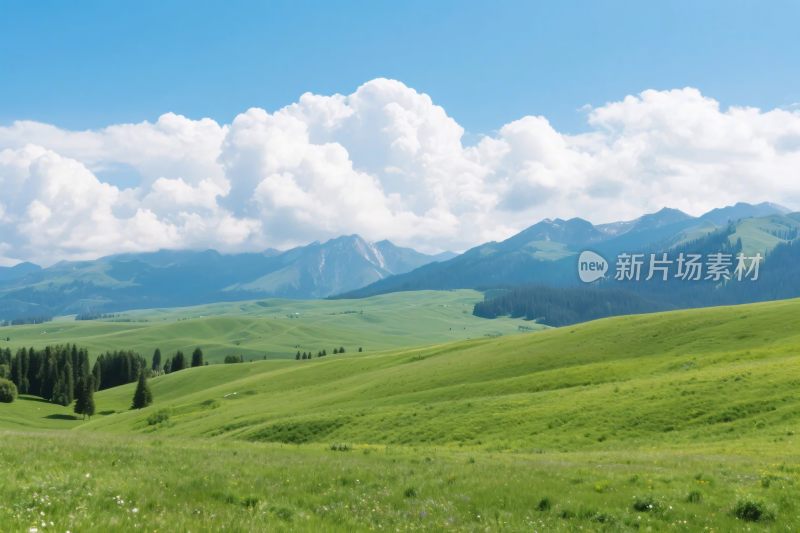 广袤草原与远山蓝天美景