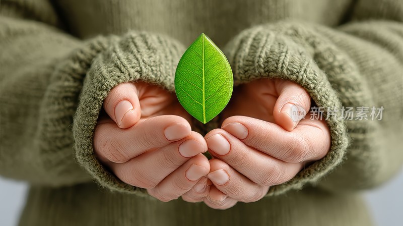 双手呵护 绿色环保 爱护生态 保护地球