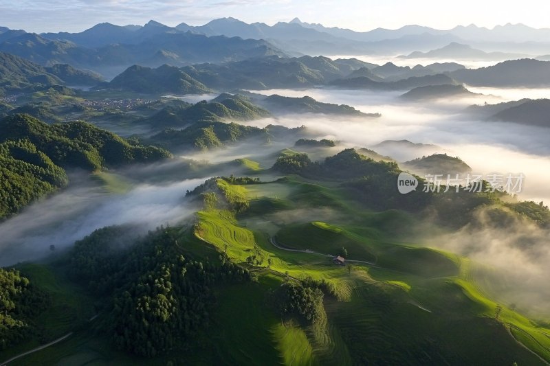 山间晨雾环绕的绿色美景