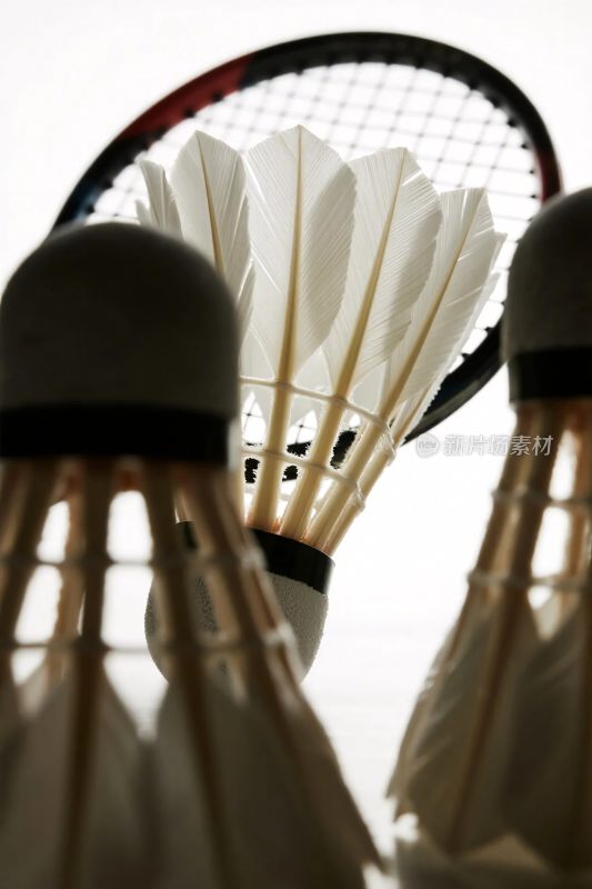 羽毛球与球拍特写