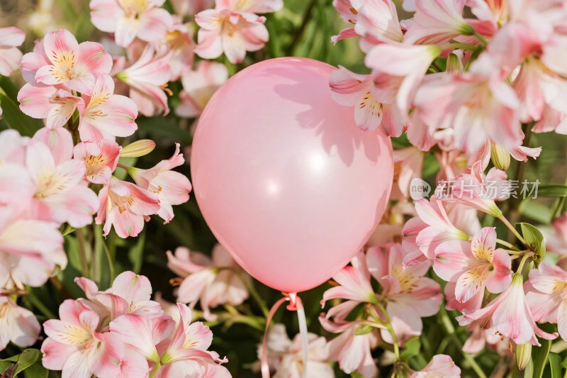 粉色气球与花丛场景