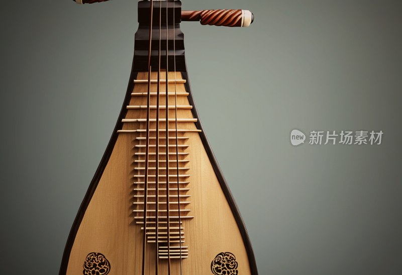 琵琶局部特写