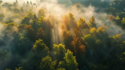 自然秋天风景