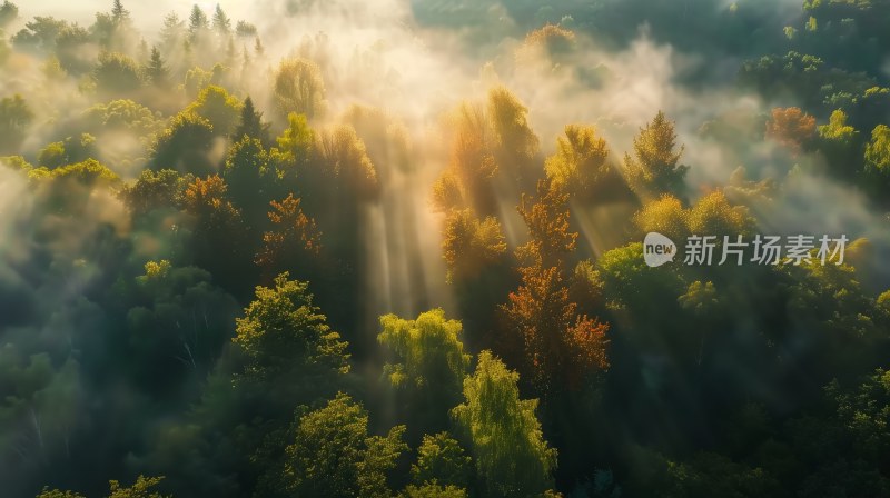 自然秋天风景