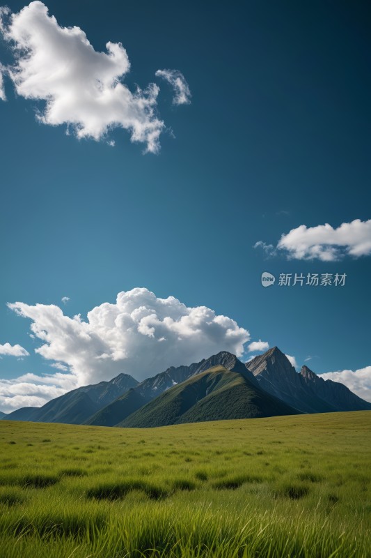 一片田野一座高山清图片