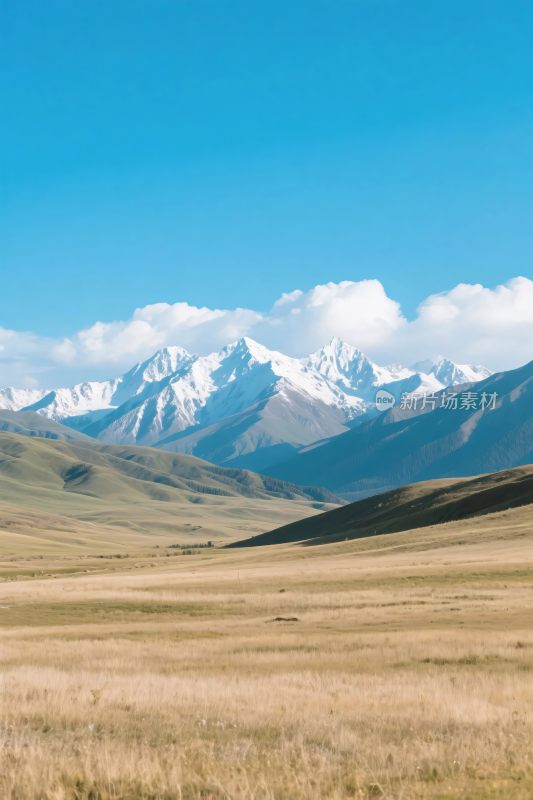 广袤草原与远处雪山美景
