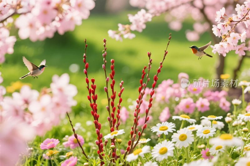 春日花丛与小鸟