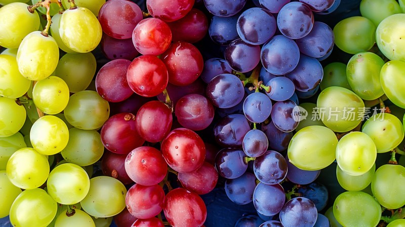 葡萄水果提子摄影