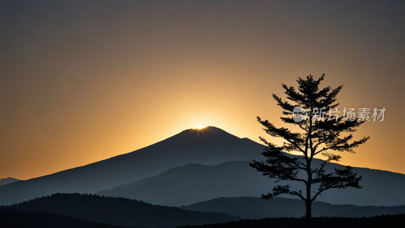 山的一棵孤独的树夕阳西下高清图片