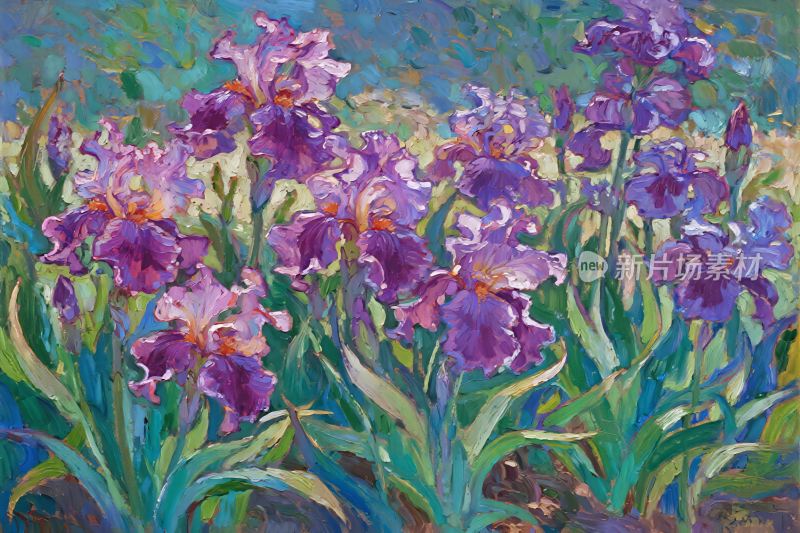 鸢尾花油画插画
