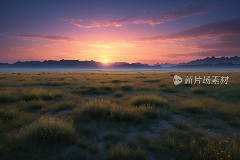 草地日落高清风景风光图片