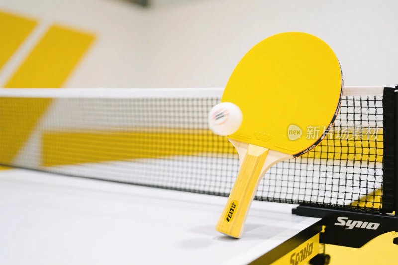 乒乓球装备与球场景