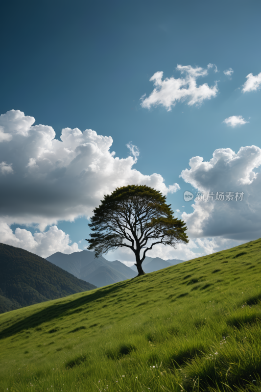 一片青草如茵小山上一棵孤独树碧霄天空风景