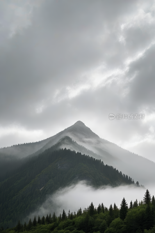 山上笼罩着雾气和低云还有几棵树风景图片