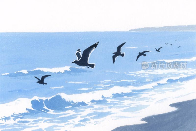 海边飞鸟风景插画